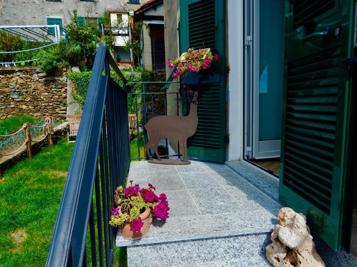 Suite Junior avec Terrasse